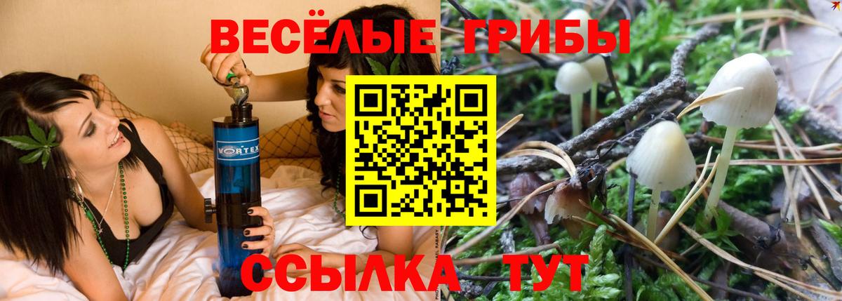 Галлюциногенные грибы мухоморы  Вход с VPN  Симферополь 