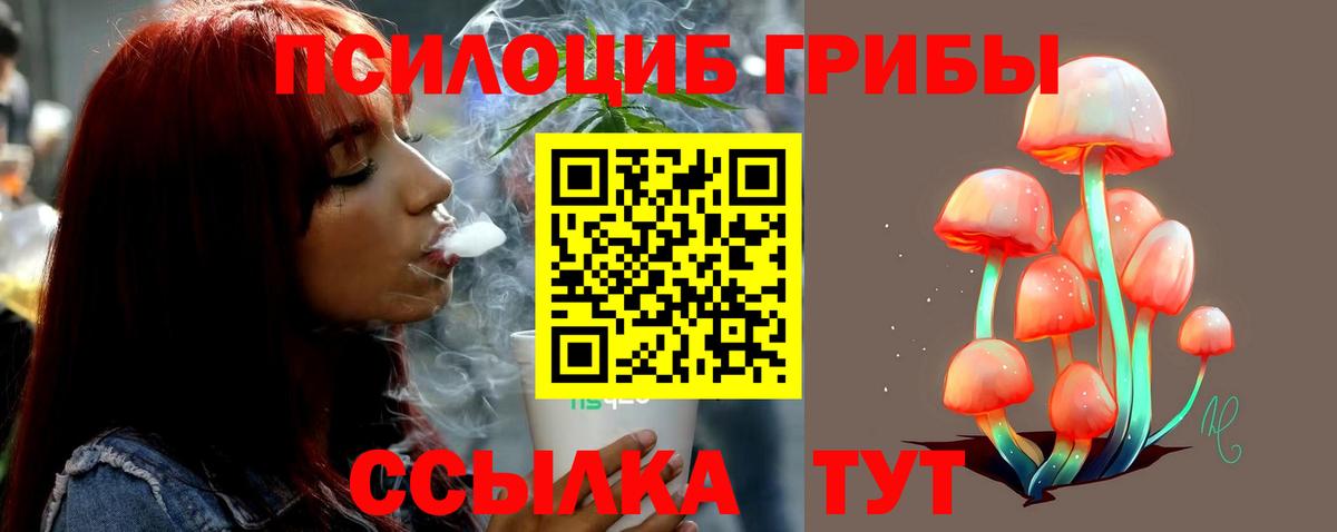 Псилоцибиновые грибы GOLDEN TEACHER Симферополь